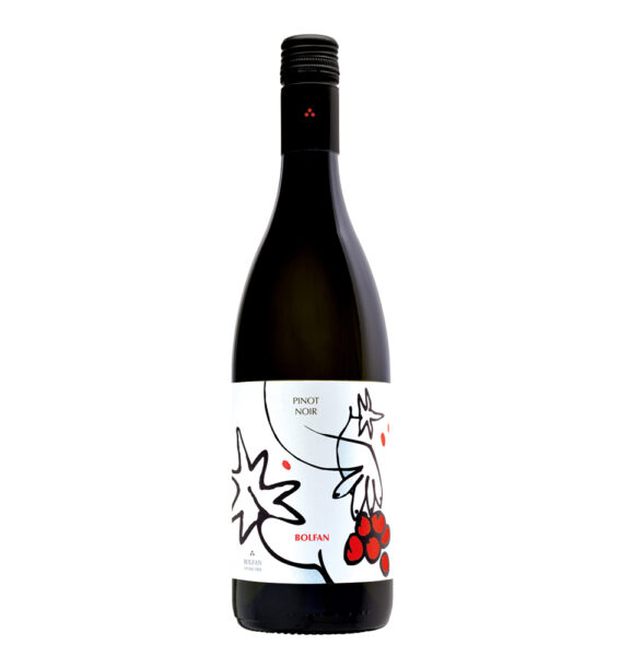 Pinot crni 2019 Bolfan vinski vrh  