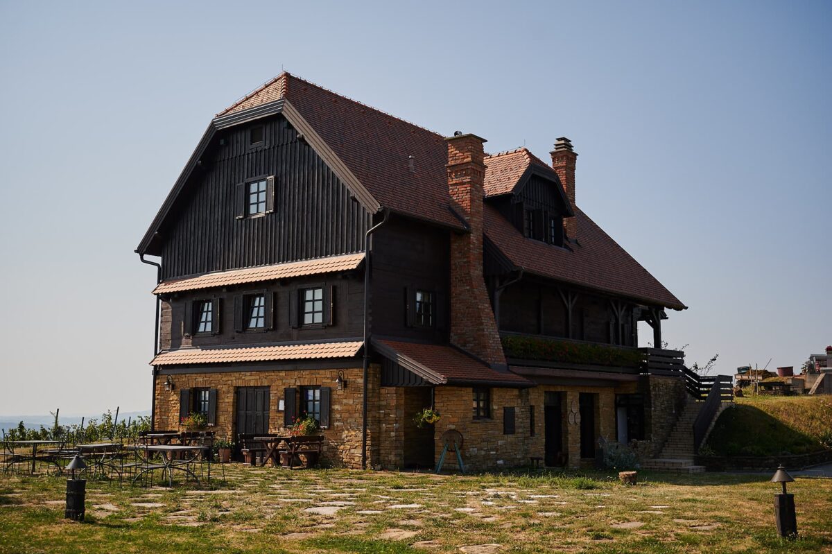 Bolfan Vinski Vrh (foto Ante Gudelj)