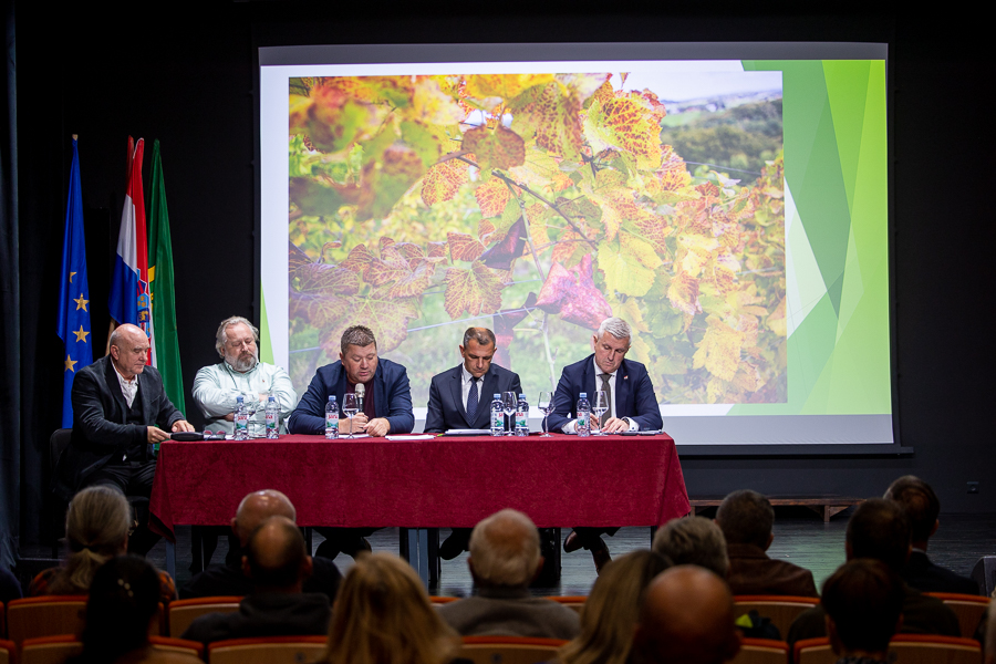 Zlatna žutica ugrožava vinogradarstvo Središnje bregovite Hrvatske